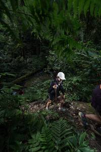 BIB: 
                            <button type="button" onclick="openModal(16030070)" class="btn btn-primary btn-sm float-right btn-popup" data-toggle="modal" data-target=".modal-high-quality">
                        <i class="fas fa-shopping-cart"></i> Add to Cart
                    </button>
                                            <button type="button" onclick="isThisMe(16030070, true)" class="btn btn-success btn-sm float-right btn-popup btn-isme hidden" data-toggle="tooltip" data-placement="bottom" title="นี่คือรูปของคุณใช่ไหม คลิกที่นี่เพื่อเอาเข้าอัลบั้ม">
                        <i class="fas fa-plus"></i> Add to album
                    </button>
                    <button type="button" onclick="isThisMe(16030070, false)" class="btn btn-warning btn-sm float-right btn-popup btn-isnotme hidden">
                        <i class="fas fa-ban"></i> Remove from album
                    </button>